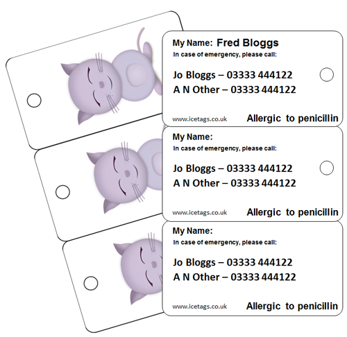 Example ICE tags for Kids with Friendly Cat Design